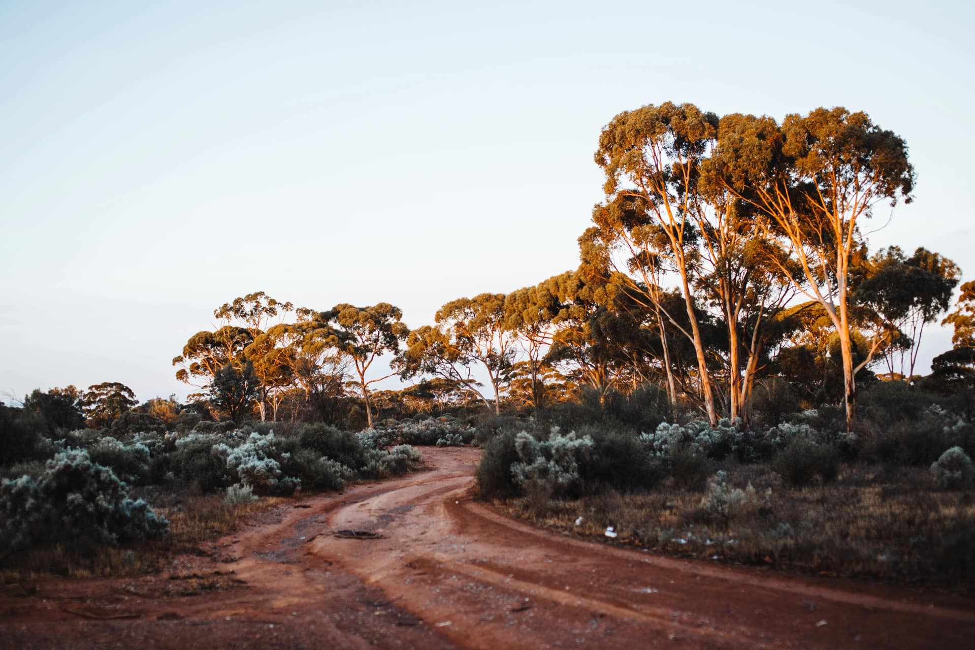 Red-earth outback of the WA Goldfields
