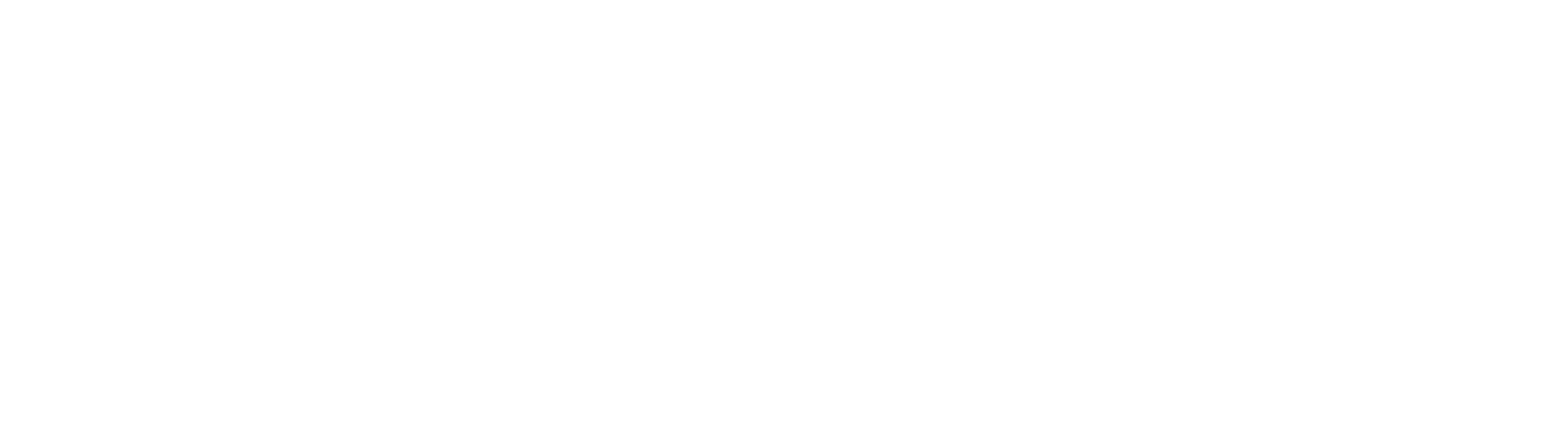StatDoctor name and logo in white on no background